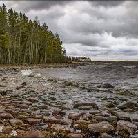 *  *  * :: Андрей Бобин