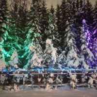 Ёлки :: Сапсан 