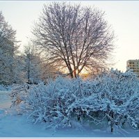 Вечереет... :: VasiLina *