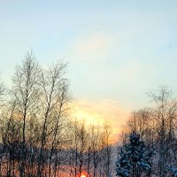Январский закат :: Елена 