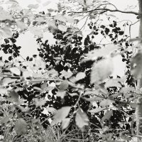 Фотография :: Денис Безногов