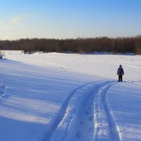 Так начинался январь, - чистый воздух и много снега :: Татьяна Лютаева