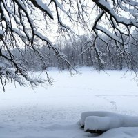 Природа в январе. :: Милешкин Владимир Алексеевич Природа в январе. :: Милешкин Владимир Алексеевич