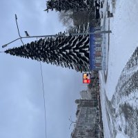 Елка :: Лена -