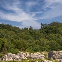 Плато Лаго - Наки :: Игорь Сикорский