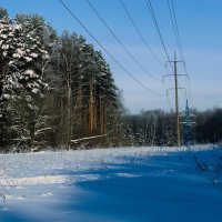 морозный денек :: Артём 