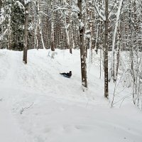 с горы с ветерком :: Владимир 