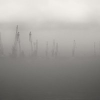 Тумана зимнего визит. :: Анатолий Щербак