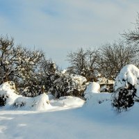 Январь. :: Владимир 