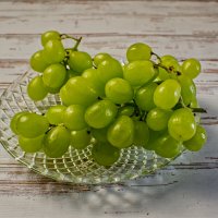 (°-°) :: Jakob Dick