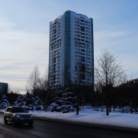 В гордом одиночестве. :: Василий Палий