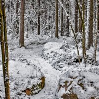 В сказочном лесу :: Alexandеr P