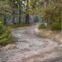 *  *  * :: Андрей Бобин