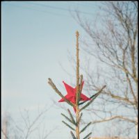 С сегодняшней прогулки... :: Руслан 