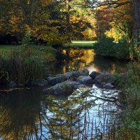 Пруд :: Юрий. Шмаков