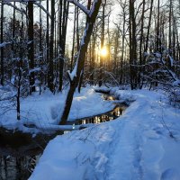 мой Крещенский сочельник :: Андрей Лукьянов