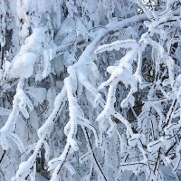 В Крещенские морозы :: Галина Нестратова