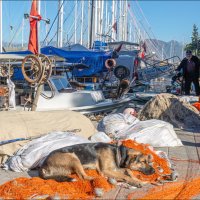 Фетхие, порт :: **** vedin