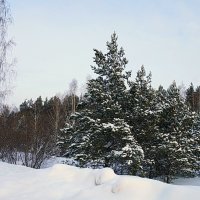 Зимой по дороге :: Галина Кан