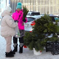 Уличная продавщица :: Василий 