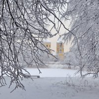 Замело... :: ZNatasha -