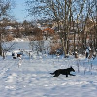 *** :: Валерий Ткаченко