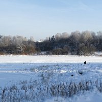 О любителях зимней рыбалки. :: Милешкин Владимир Алексеевич 