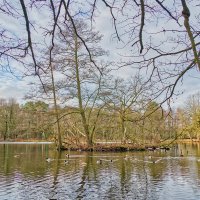 Пруд :: Jakob Dick