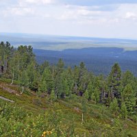 Начинается лес. :: ВикТор Быстров
