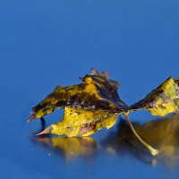 Про лист... :: Николай Саржанов