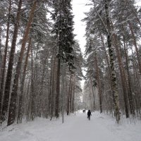 По аллеям парка :: Лариса С.