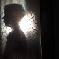 Силуэт на стекле :: Валентин Семчишин