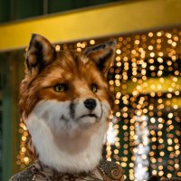 Чучело человека-лисы в магазине :: Илья Шенгелия