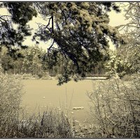 *** :: Aleksandr Gal