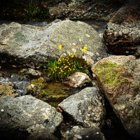 ГОРЫ :: HART BAD