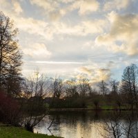 *** :: Николай Гирш