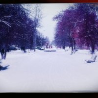 Путь зимушки, зимы. :: Игорь Солдаткин