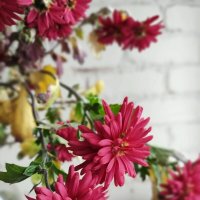 Настроение лета :: Сашук 