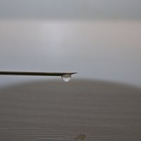 Капля :: Giant Tao /