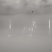 Тумана зимнего визит. :: Анатолий Щербак