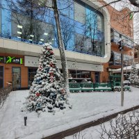 Зима должна быть пушистой :: Татьяна Машошина