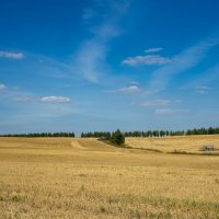 Просто пейзаж :: Владимир Иванович