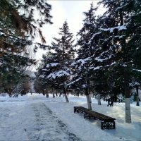 Зимний парк! :: Надежда 