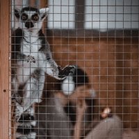 В клетке :: Илья Шенгелия