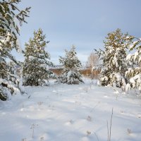 Хоровод :: NikitinAleks 