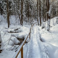 Вдоль ручья :: Сергей Цветков Вдоль ручья :: Сергей Цветков