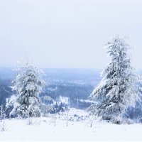 Белогорье :: Лариса С.