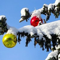 Напоминание о минувшем празднике. :: Милешкин Владимир Алексеевич 