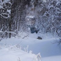 Зимние зарисовки :: Рита Симонова