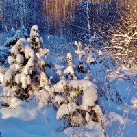 я на солнышко гляжу :: Владимир 